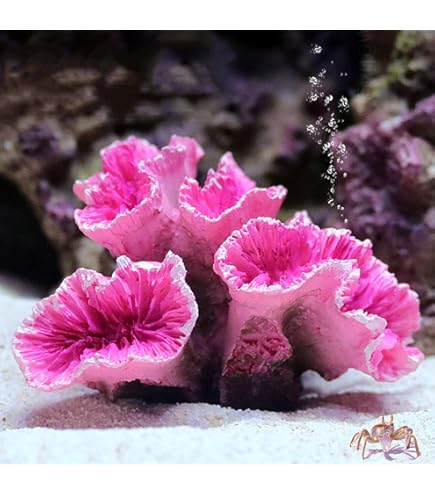 飾りサンゴ Amazon.co.jp: 珊瑚 サンゴ オブジェ F 水槽 アクアリウム